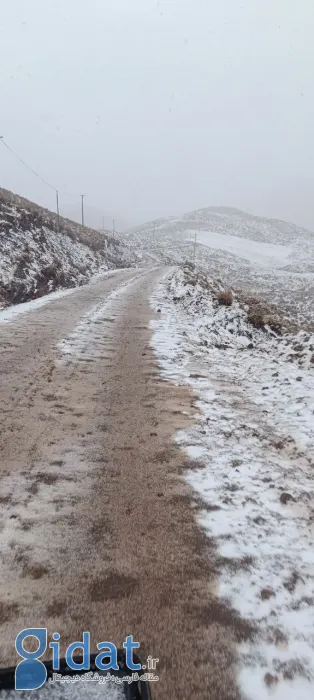 photo_2025-11-03_19-40-30 (2)